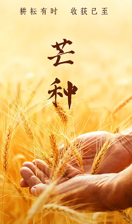 微信图片_20240605093113.png