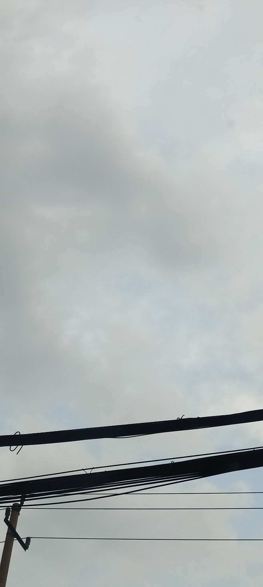 20240612184857front2_0_105445_FhNwhouhSWE4A-4HvYpW1SJY2Ra_.jpg