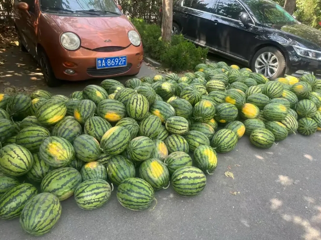 微信截图_20240613085245.png