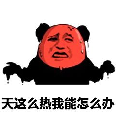 172451rozsqh8r2ro5hd7q.jpeg