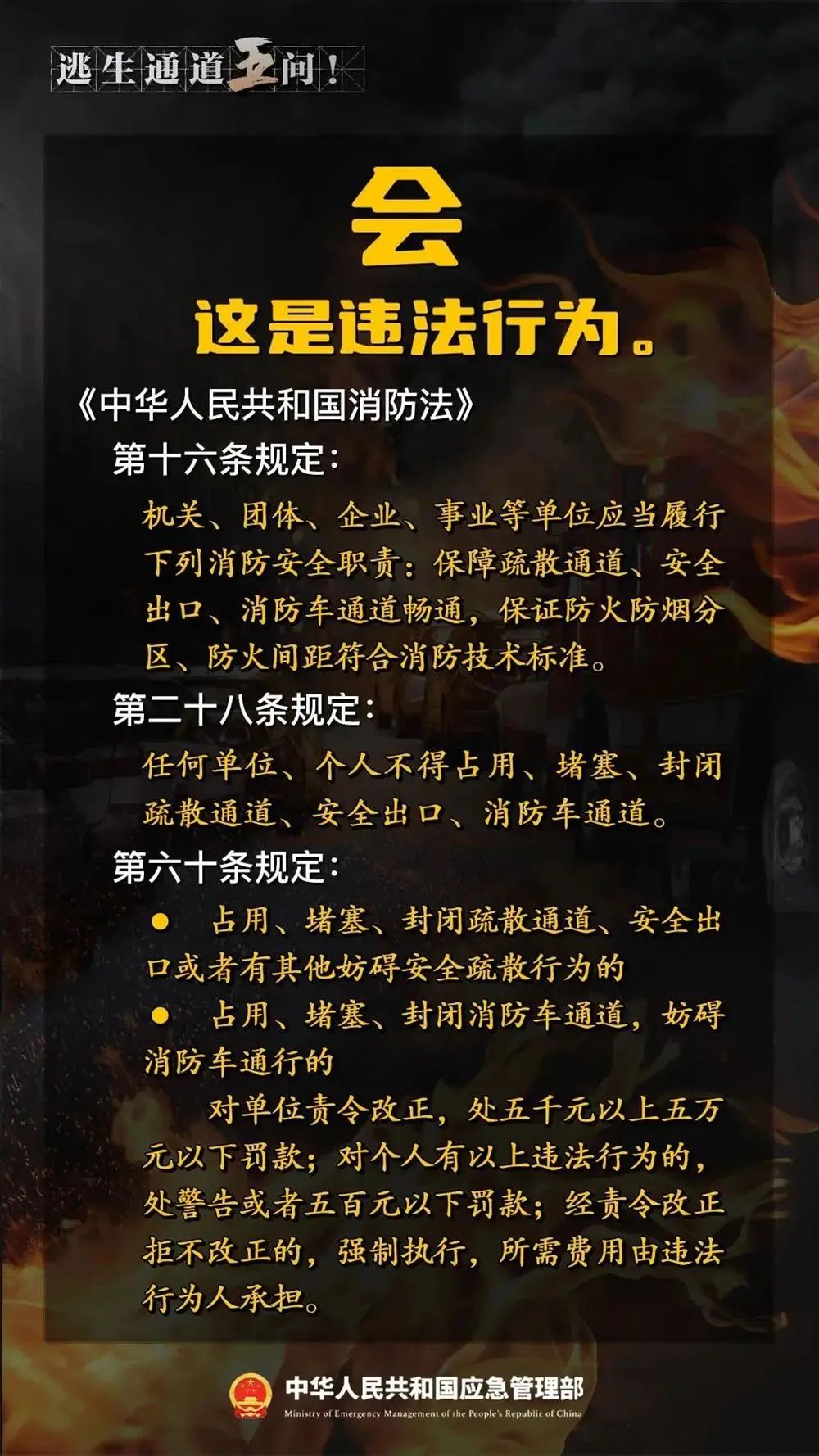 114111wf2a22h7hv57922c.jpeg