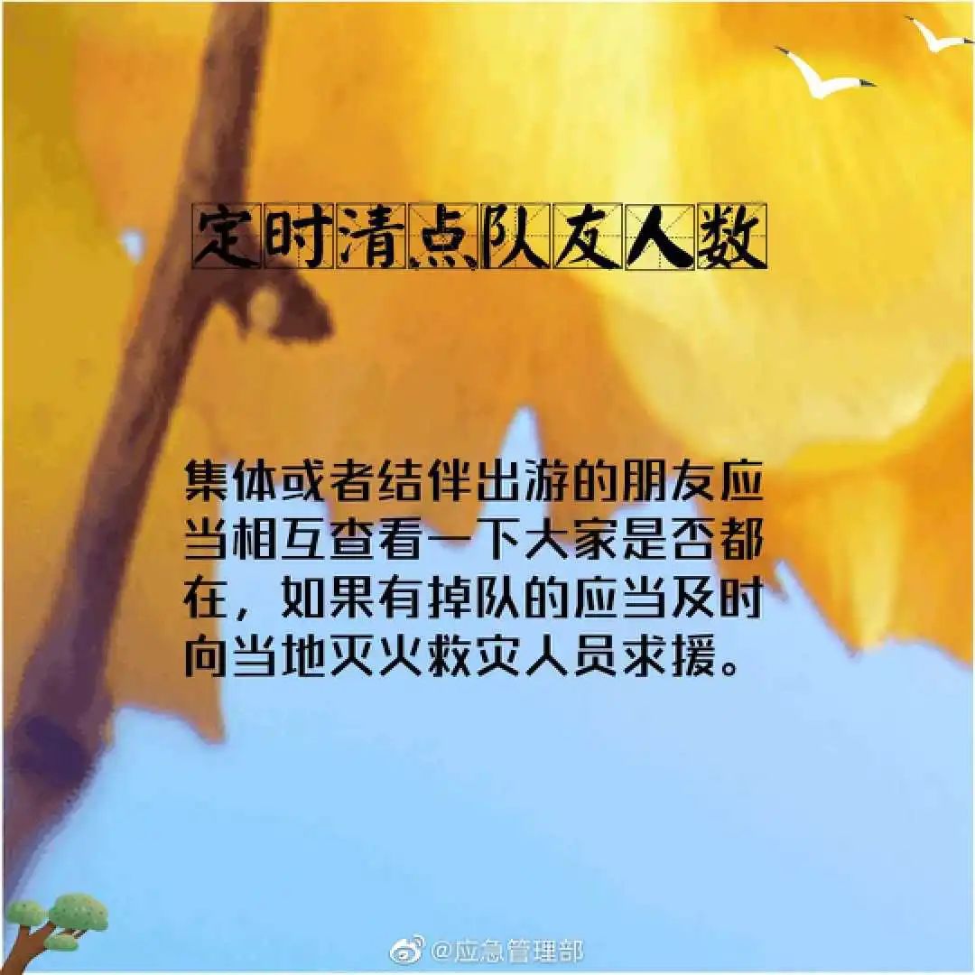 155929o96rop58o98ojkwc.jpeg