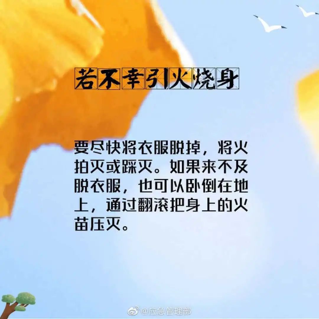 155929zd3xz1211z1c1djd.jpeg