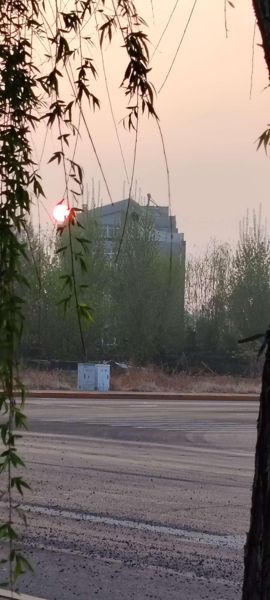 20240624180646front2_0_250092_FhX83k7JmXd8KINn68QKDspGAqu4.jpg