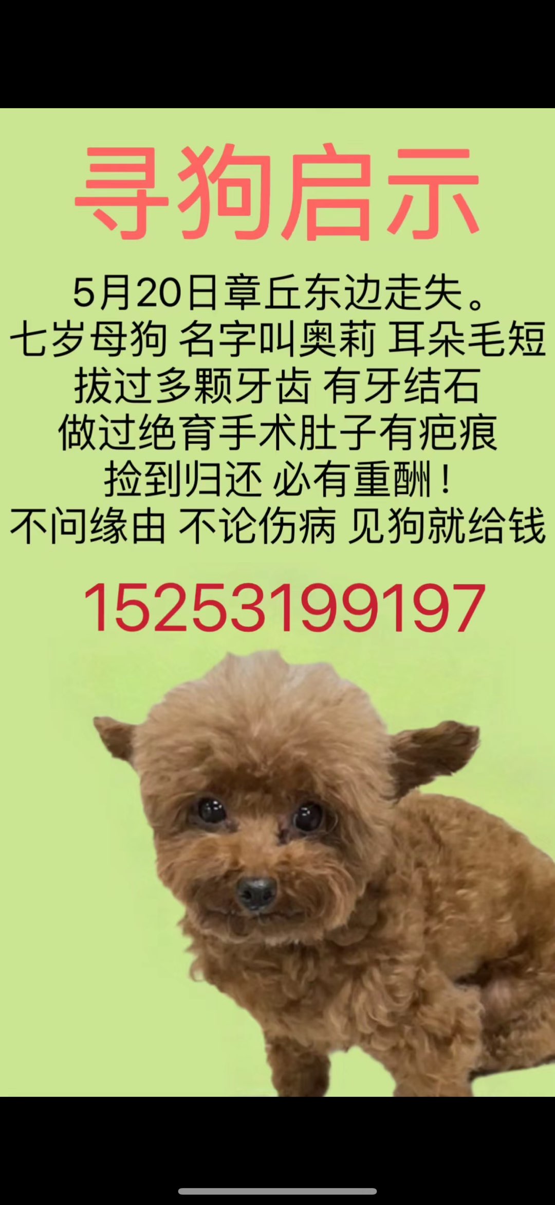 20240628170659front1_0_257166_FlmDe_0XmJvJZmXy9Im09qRlQC46.jpg