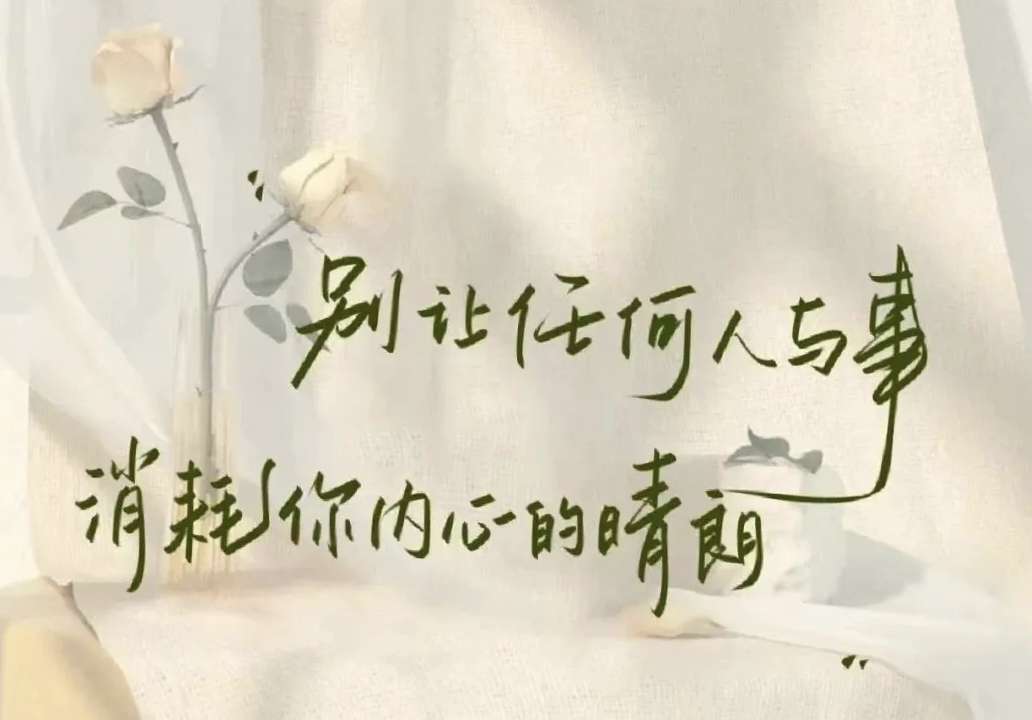 20240628213655front2_0_228434_FhVG_WDEY3z0xOwm8reH3SNm5w3i.jpg