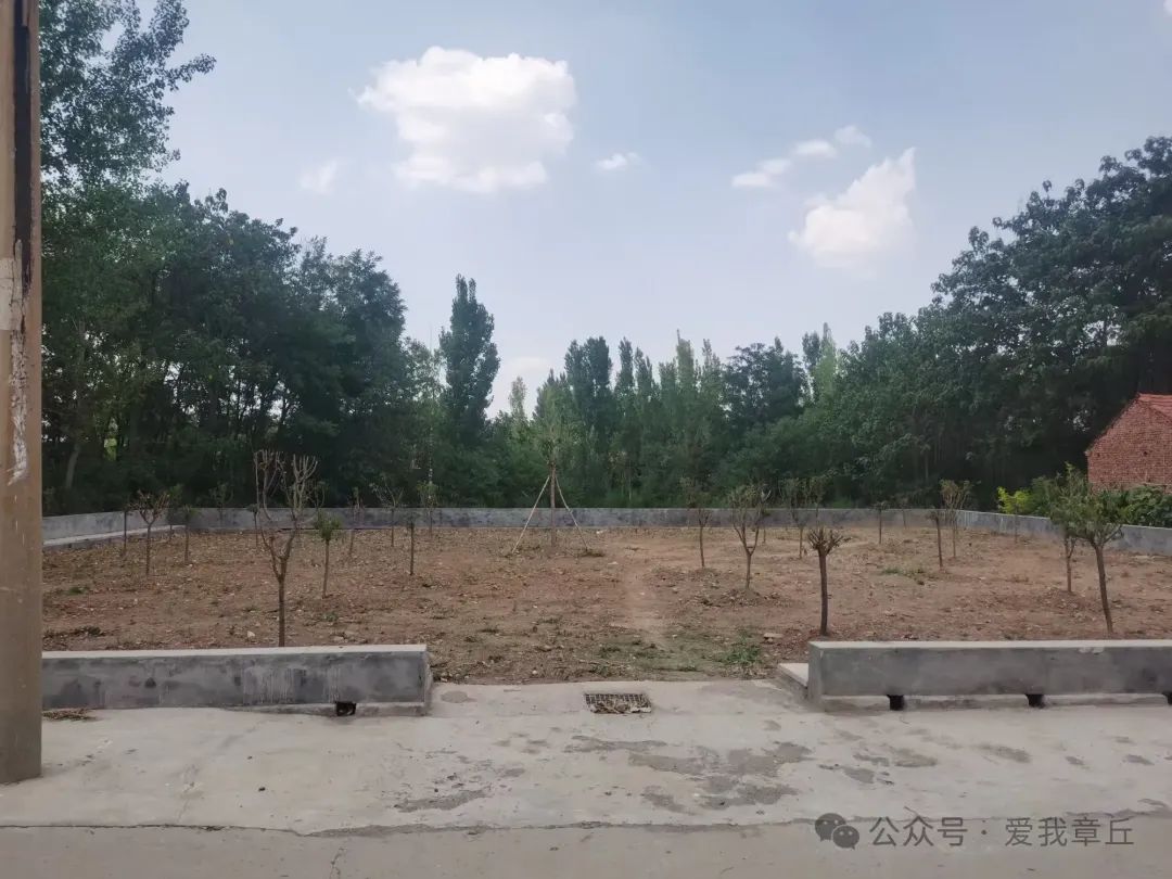 095020j919jmmbkm519gb5.jpeg