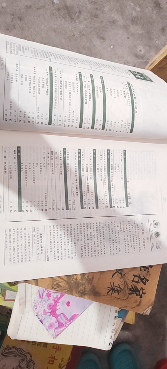 20240629192744front2_0_772_FhKStaQeHxgUcU7uxh9u517DIx63.png
