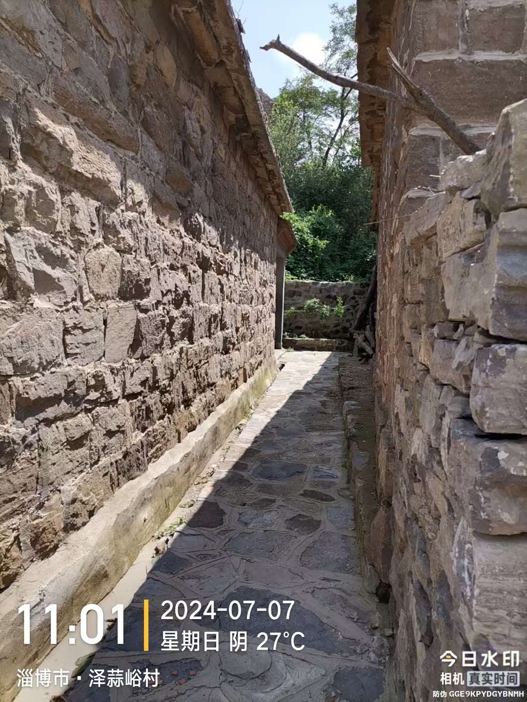 20240708154429front2_0_150914_FjLVXfqZzERGujDYRG6rlru6y3mB.jpg