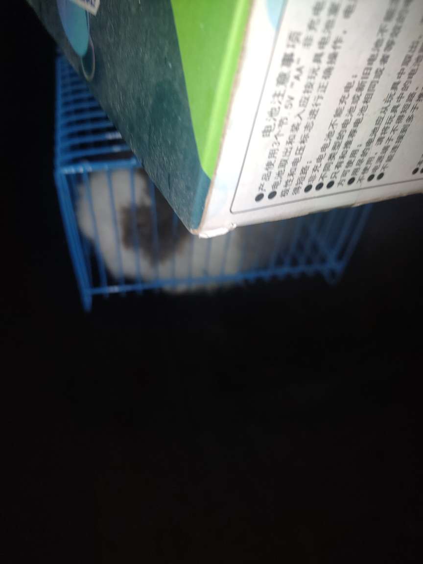20240708203422front2_0_257963_FsqICQbHEsJdXGZj1GXI87EbxWnP.jpg