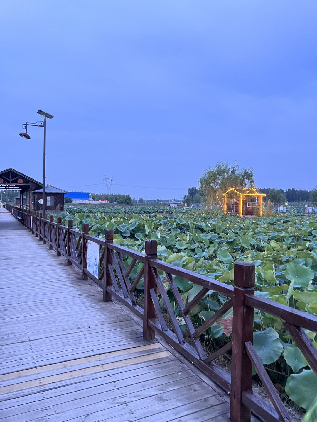 20240709093251front1_0_181580_Fpv9PiXAmYeKcog6YtNO2sJsfaiv.jpg