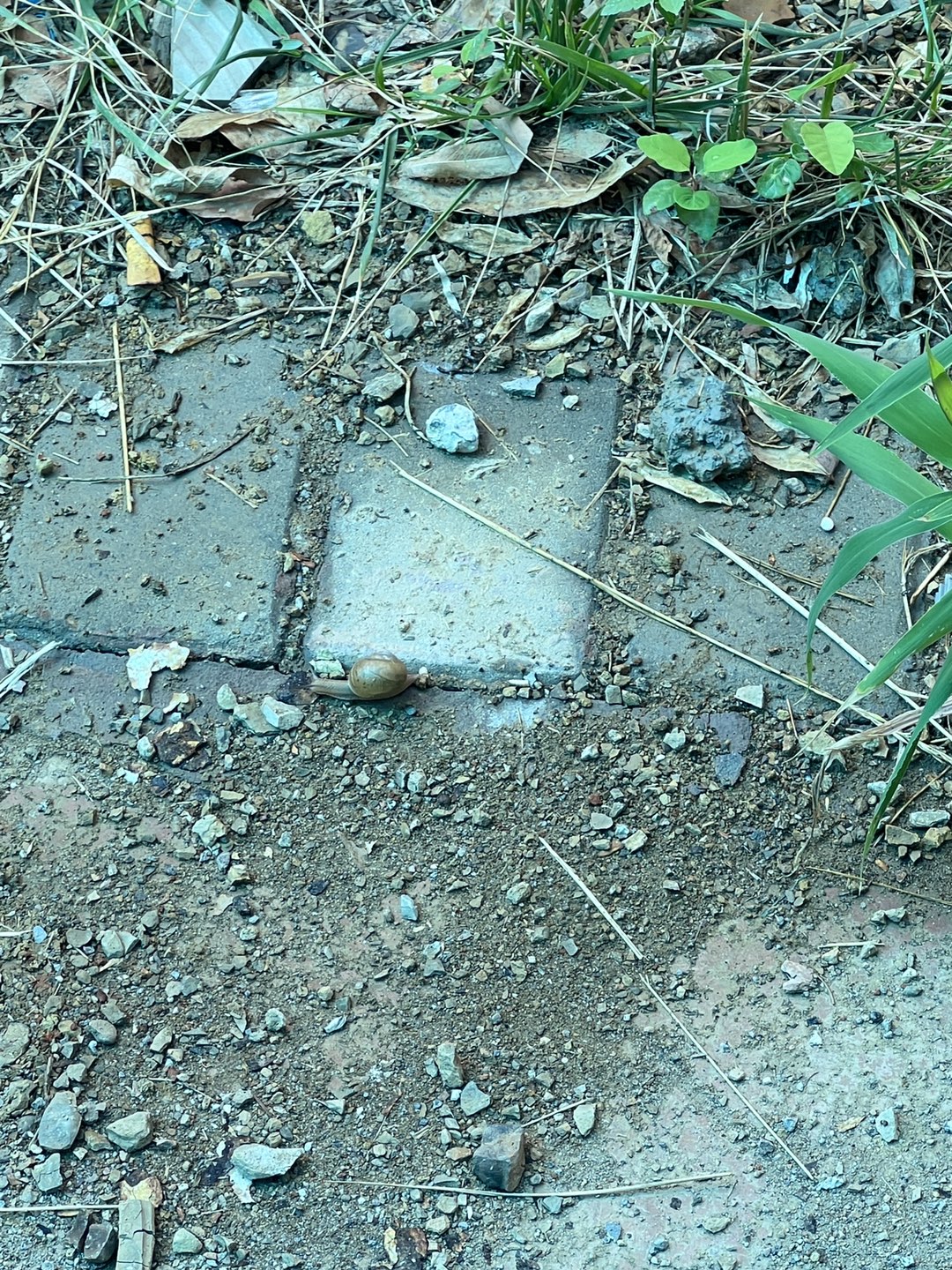 20240710112857front1_0_244849_FhzkG0G3cAPqE0jRQ7ArmVHv3HR5.jpg