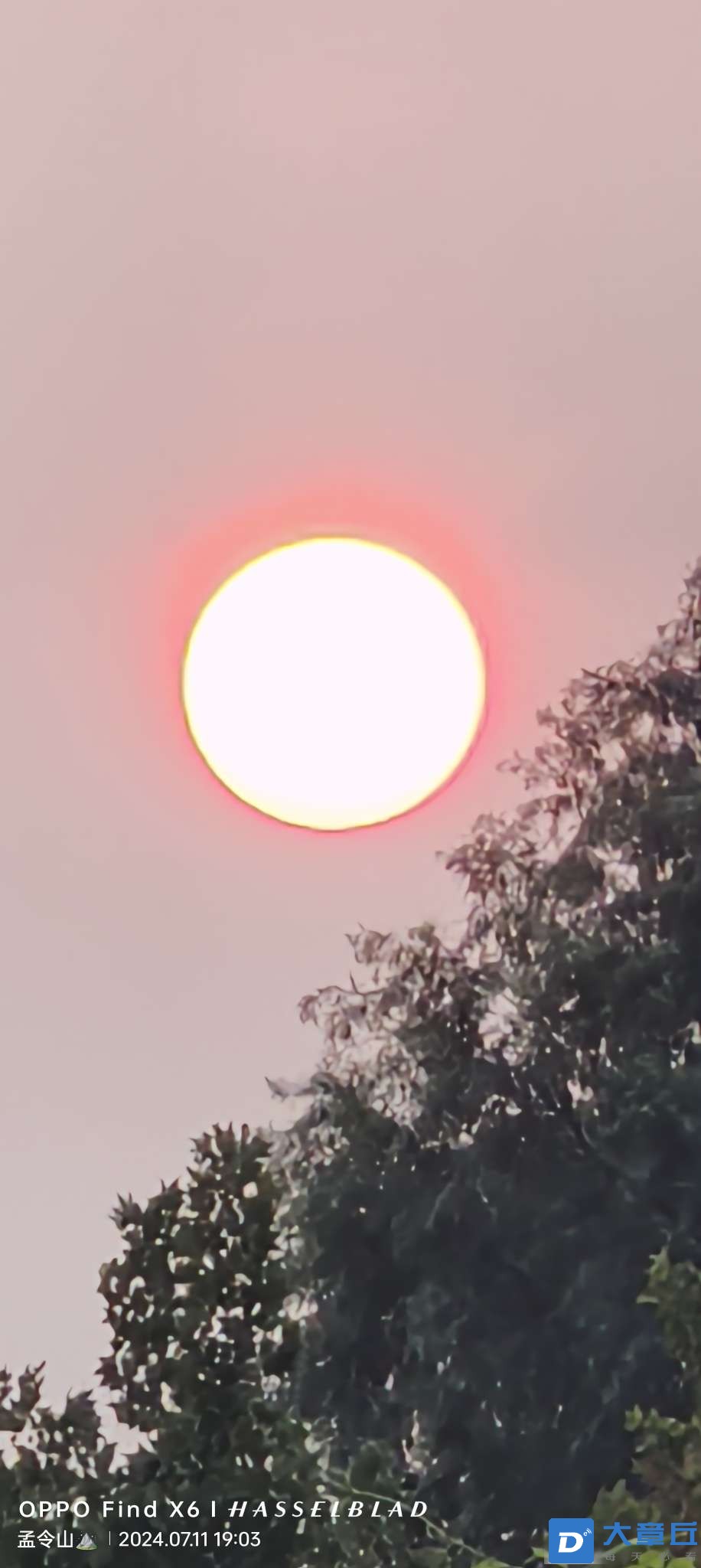 20240712094432front2_0_129115_FtvWeG1s0vEpRDK1ucRETaU4i_q7.jpg