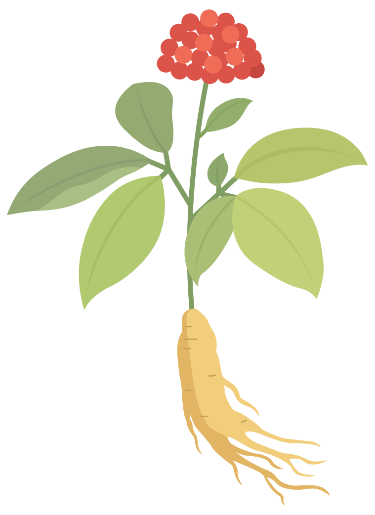 094234vff544uqwukxu8mx.png