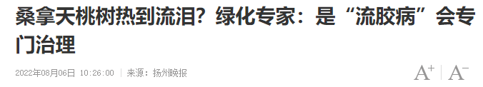 092850lt9wdnkisq55uzza.png