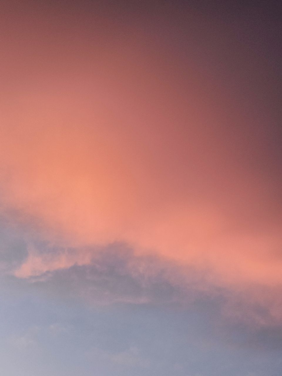 20240720125126front2_0_146243_FrMDS5SMUyqVBdLFP5QjJDDLiYzV.jpg