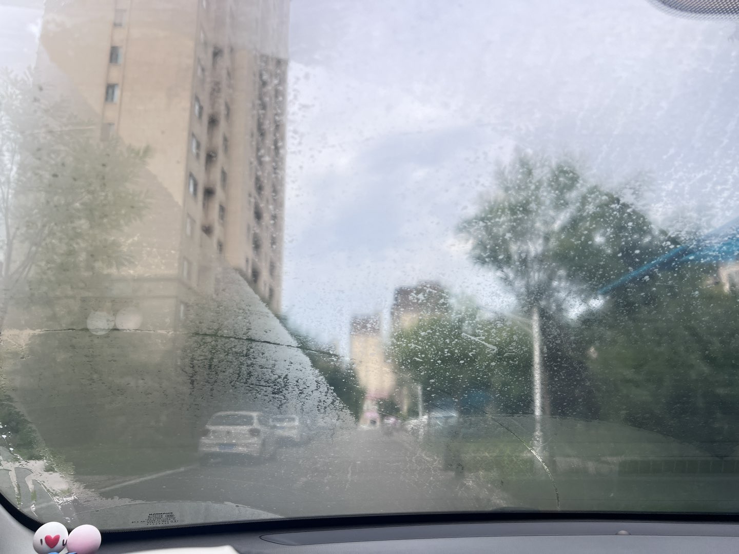 20240723093120front1_0_181580_Fp6B6gi2w037uqssLI9dhgWNUpEV.jpg
