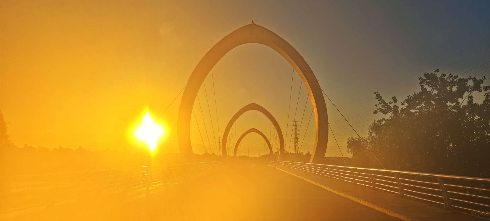 20240730194106front2_0_62554_FgkrMXhs9MTwiIjqHywAg8NfSc7c.jpg
