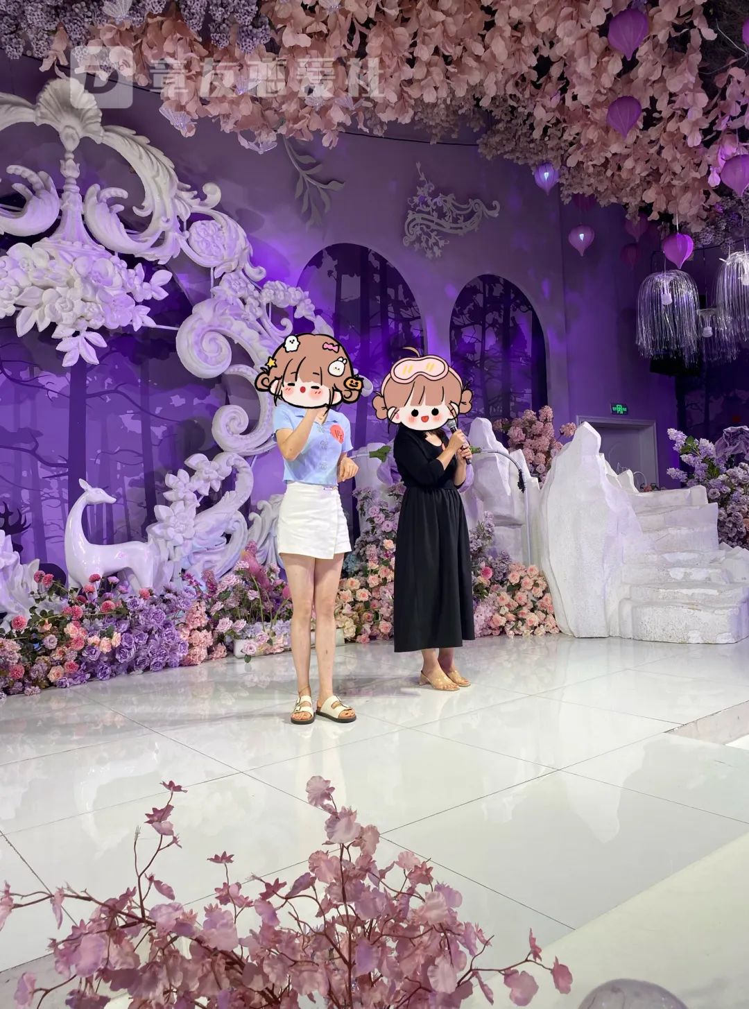 224637z35qr8jp4rjn55j0.jpeg