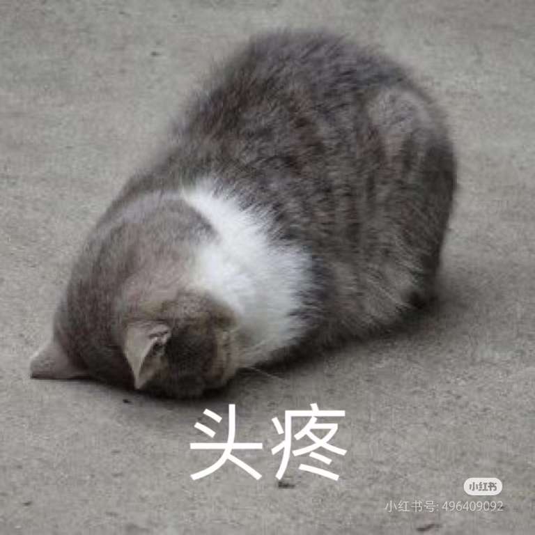 20240817132413front2_0_50920_Fu1WOKHUPYFDDIsfH41c11pAPpke.jpg