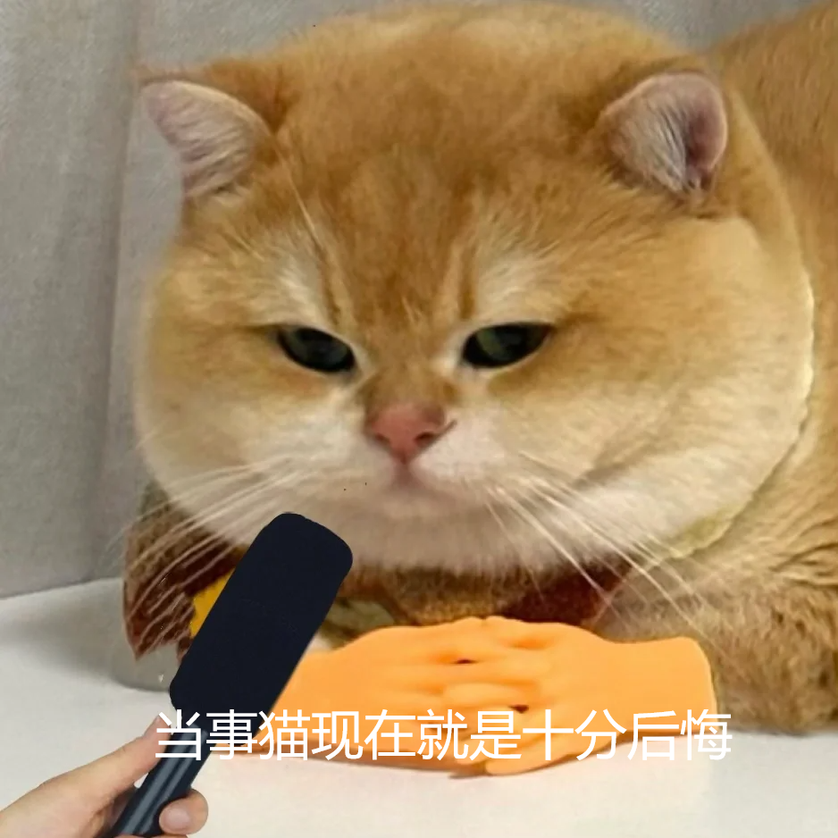 095229u498e7hc0rrkc19k.png