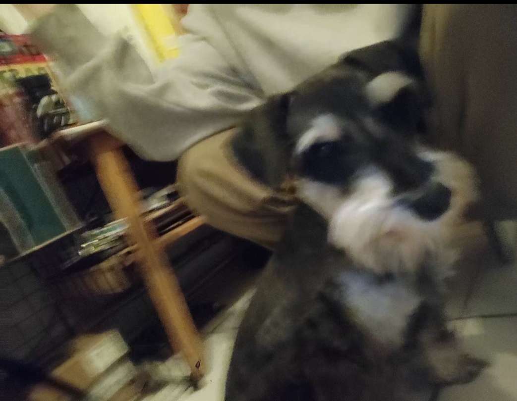 20240828153553front2_0_233104_FvnxqrPiYmruqZdLO9gw9dYwBK7G.jpg