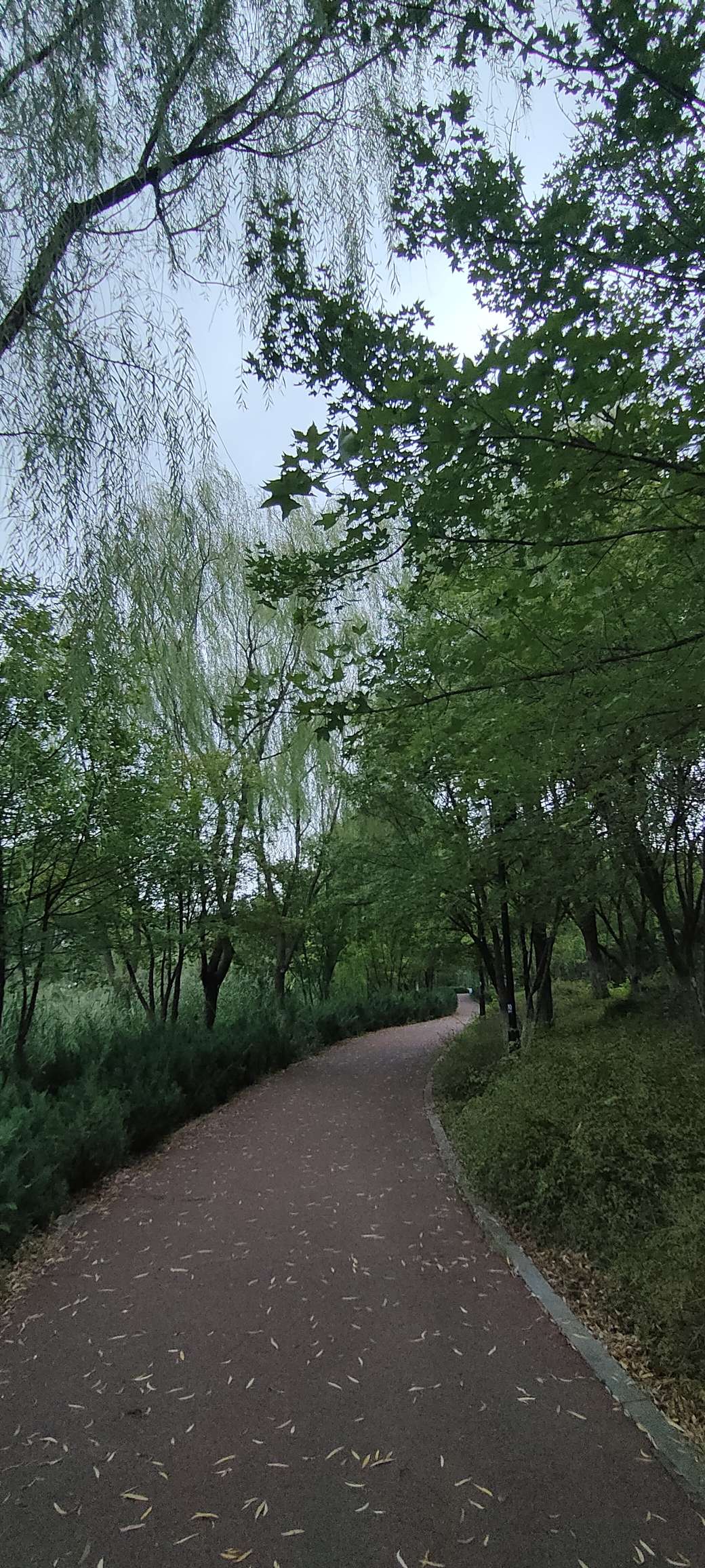 20240901215203front2_0_105445_FlRhTEi-5W01r7jZYu9z3h02lyt0.jpg
