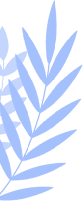 174529eam94kyxys0s86wk.png