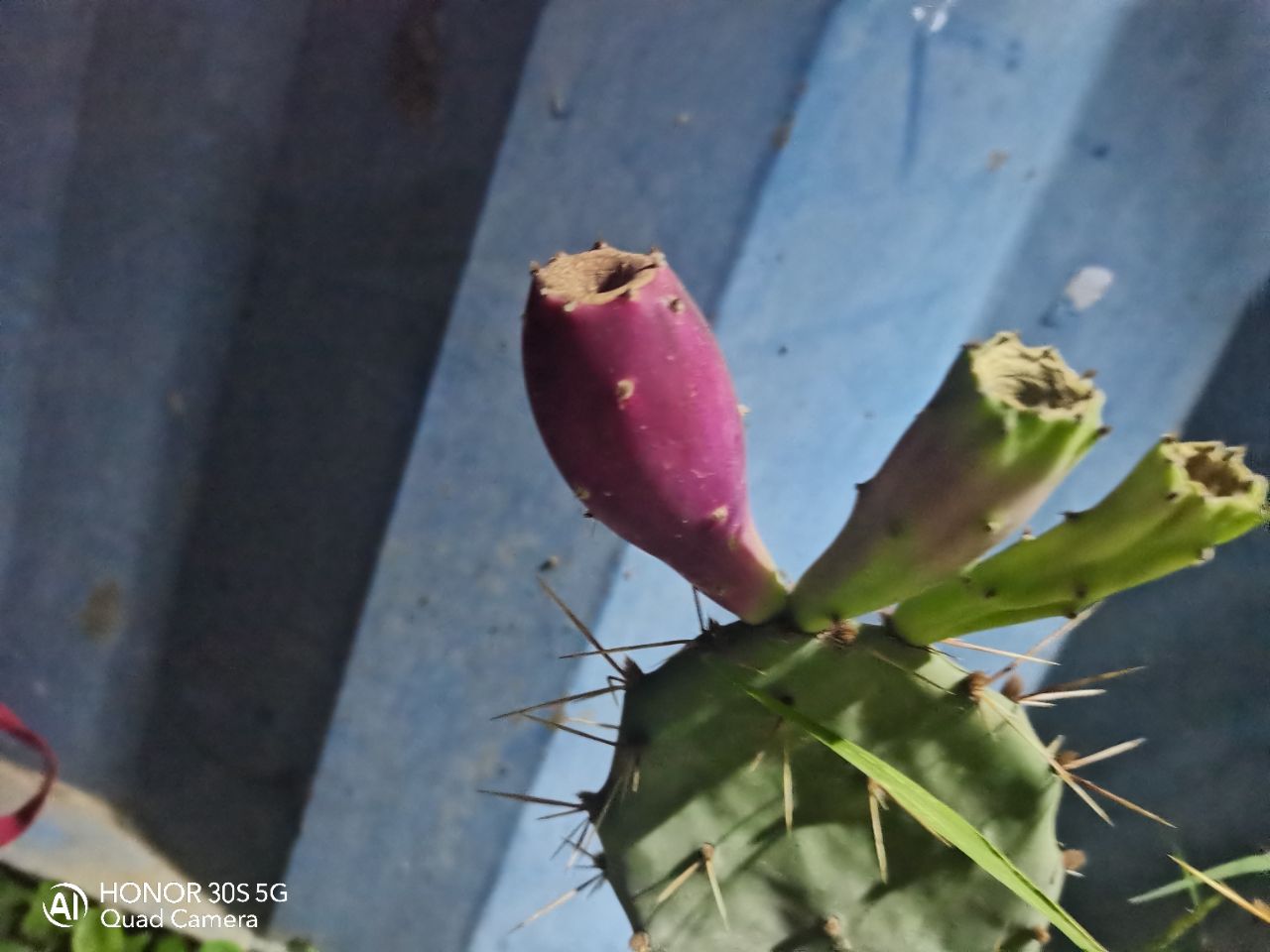 20240907200341front2_0_262967_FuoRfnF80JBjCu2UwHMlg4nHFCOH.jpg