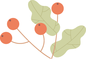 095343fdajilz44shsbizu.png