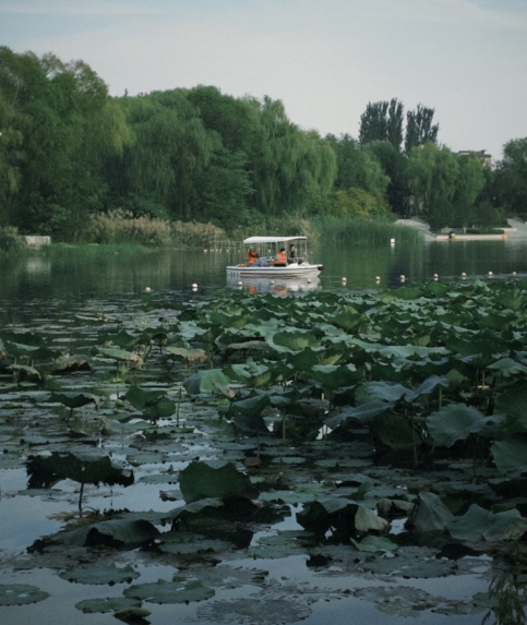 微信截图_20241009171119.png