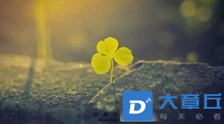 20241011082039front2_0_6551_FlVGmfLwn5_wAUXlrIJPpPsL70nW.jpg