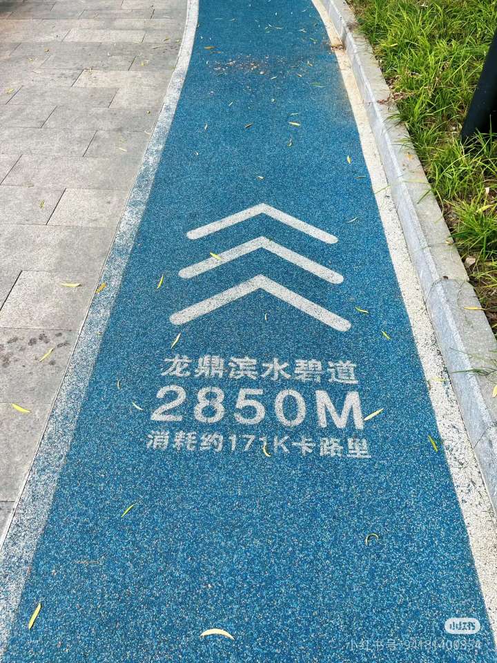 20241012105407front2_0_75772_FjpLRxeARNdtpn2vILr3Omvh_qK1.jpg