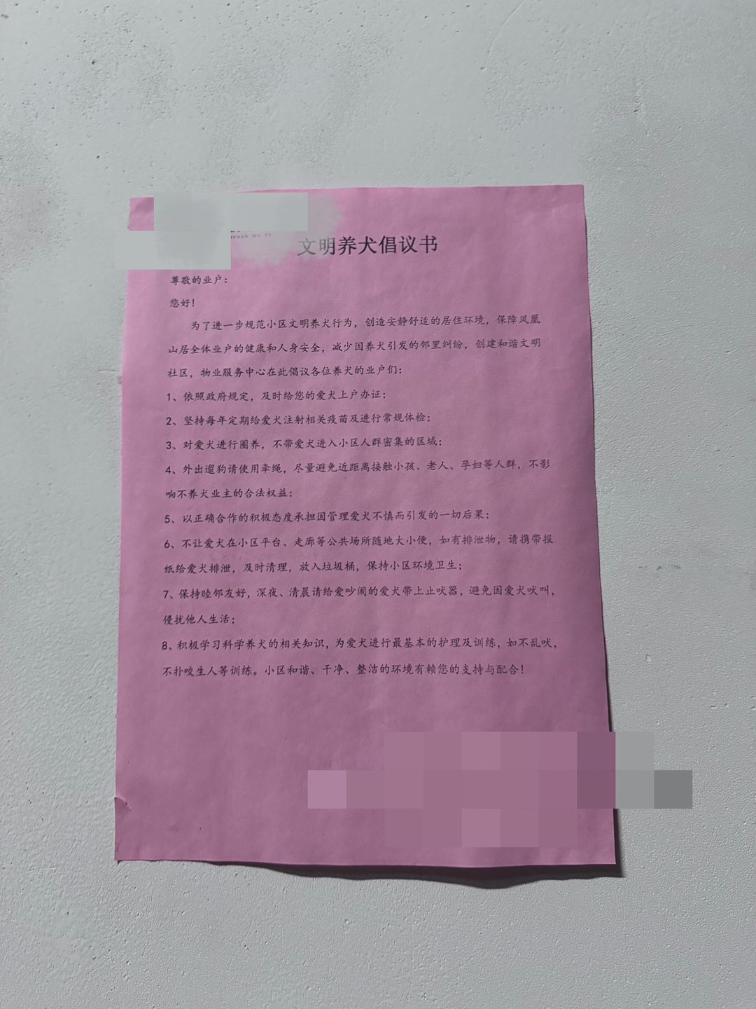 20241017230140front1_0_263485_FuJFXt6SjKiSnR0J-SK1jZuzKH1y.jpg