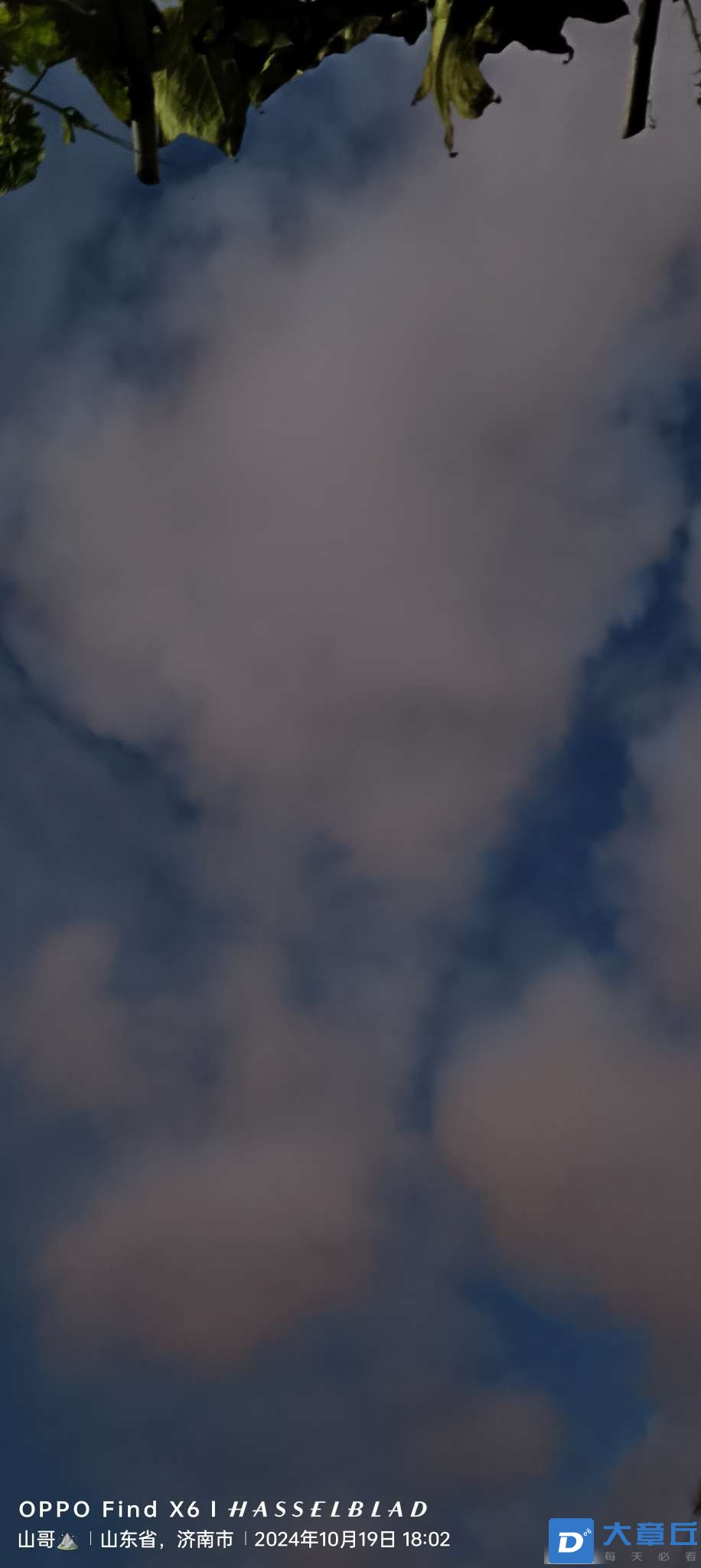 20241019183154front2_0_129115_FokNHe-7h7RH-iewhp9Fd-dh_5s7.jpg