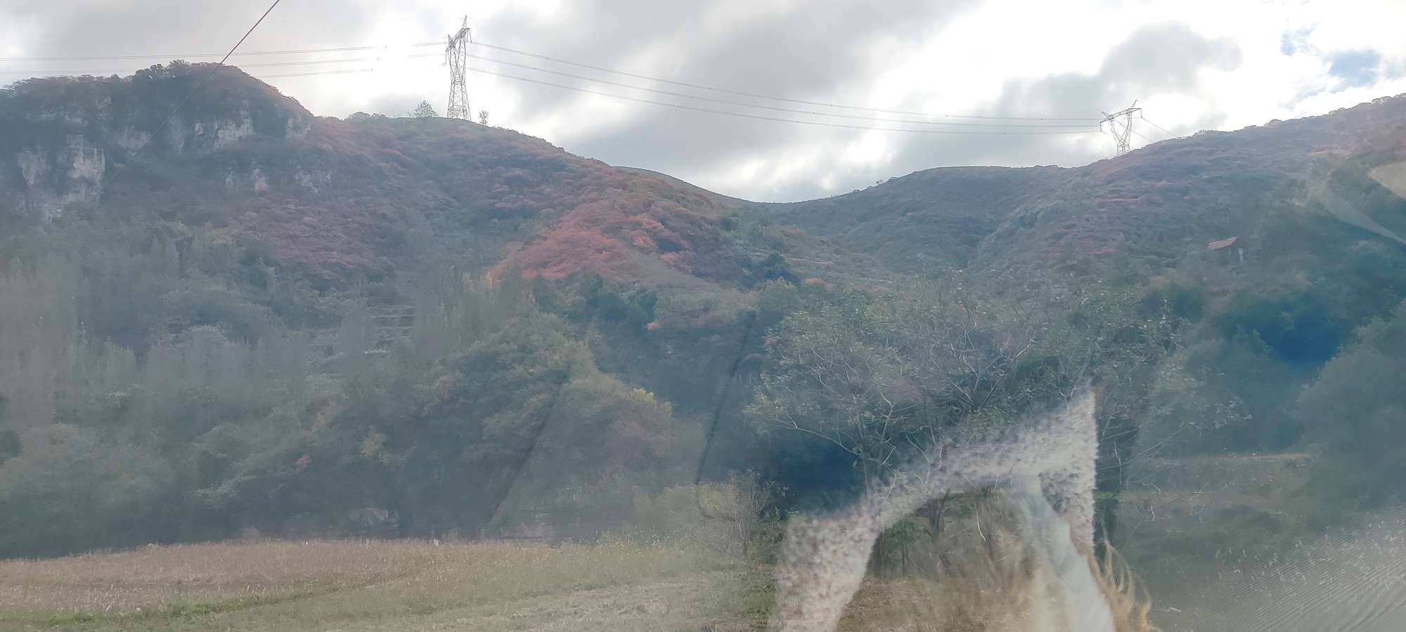 20241020091455front2_0_104242_Fo4z8cNYYe_XxN39BEYylPaKmsc5.jpg