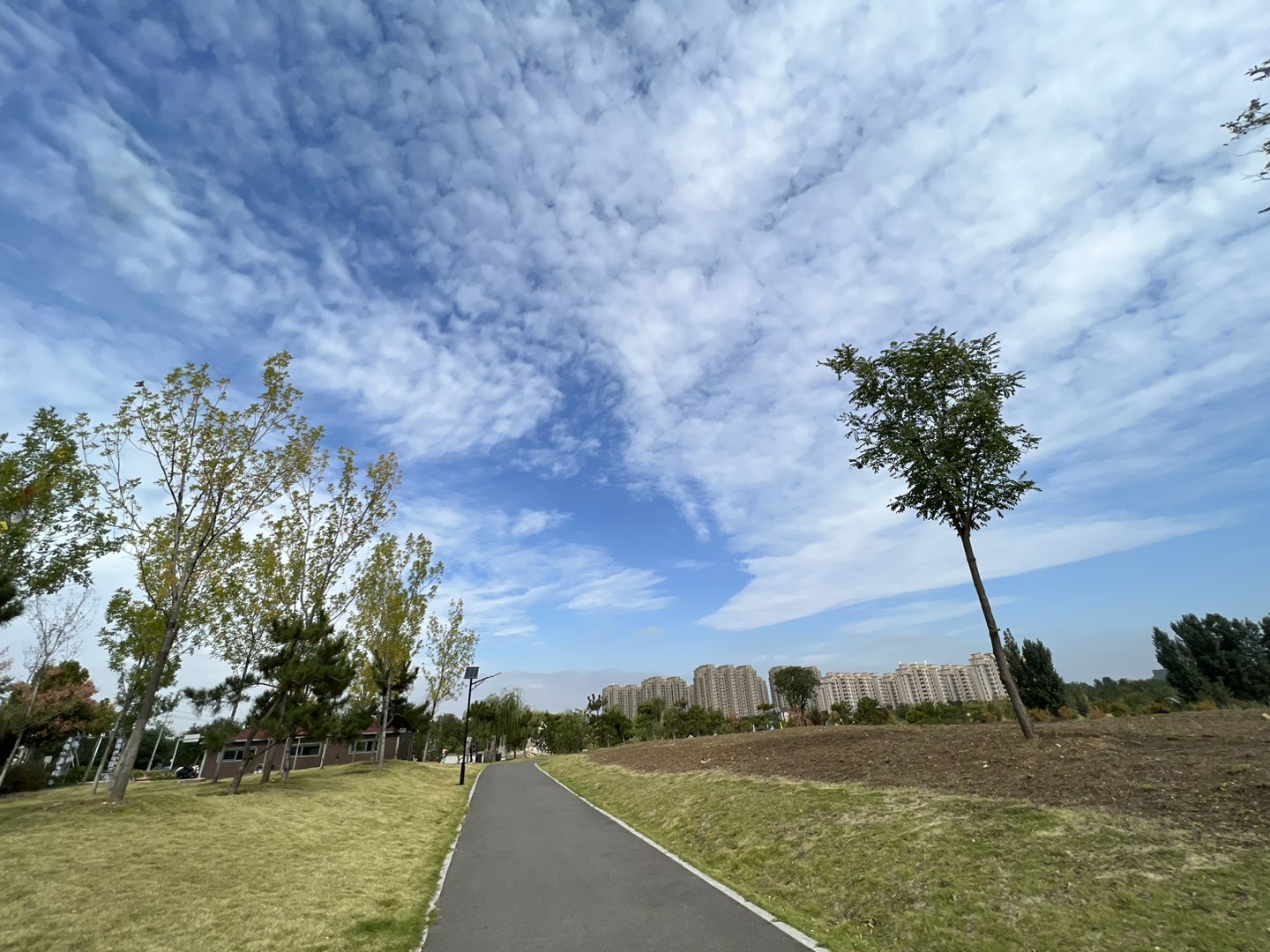 20241020125850front1_0_129688_FvgQjxf861FQZ4hN16RWhLcu1G0h.jpg