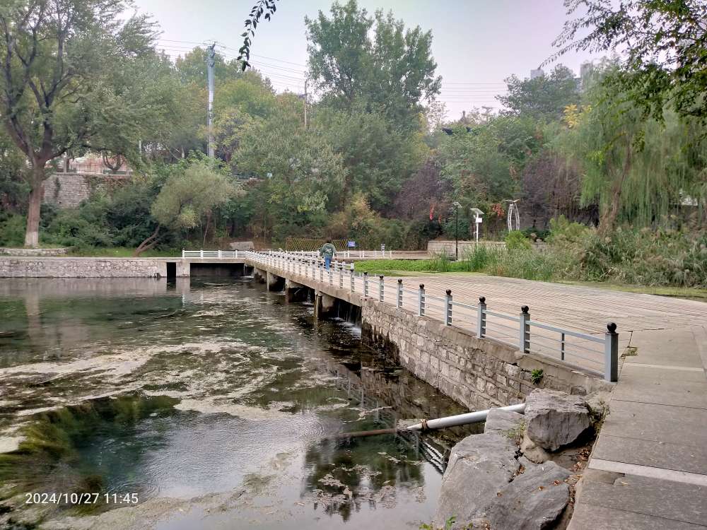 20241028152436front2_0_150914_FvmV6KkPMtQuxN7KwaFuyldnV_nd.jpg