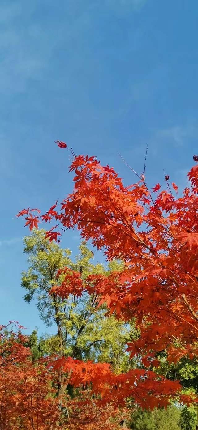 20241103082845front2_0_150914_Fgdkdp38raEBcOEwtQ-nc6YoQp_D.jpg