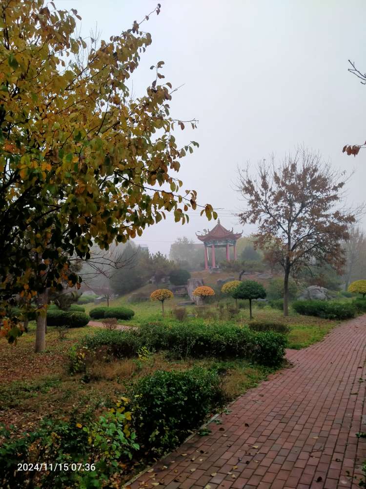 20241115082358front2_0_150914_FoTAxcBi21I1F_juCyXOv7TcELKo.jpg