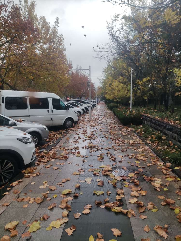 20241125154704front2_0_64781_FuppOaOEv2HM_zirKamlkc4ALUP2.jpg
