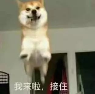 微信图片_20241223142543.png
