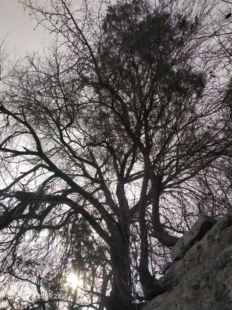 20241225094506front2_0_150914_Fky3-iqa1wmdVQ0CZQDDw0iWD159.jpg
