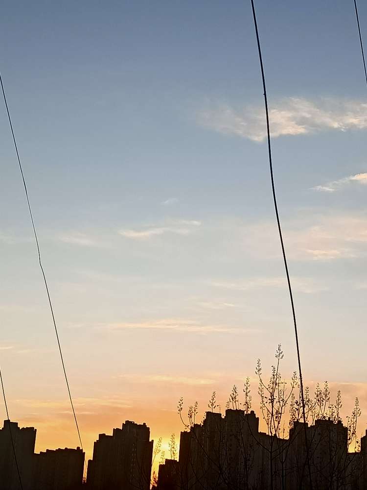 20241226074530front2_0_97521_FldtonhMIqjO_bJIOeWnC-mfkWuJ.jpg