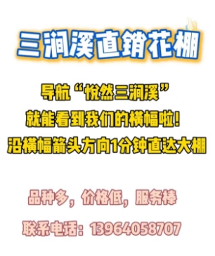172743s8wgyxl8zusb88ys.png