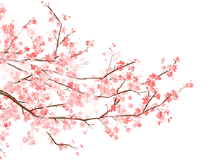 111033gnn55ty2y0ntoq5e.png