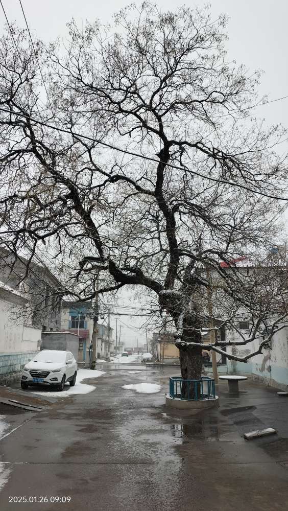 20250126093922front2_0_150914_Fshqiu6JoDc-XavbbC2vkQU1HCBK.jpg