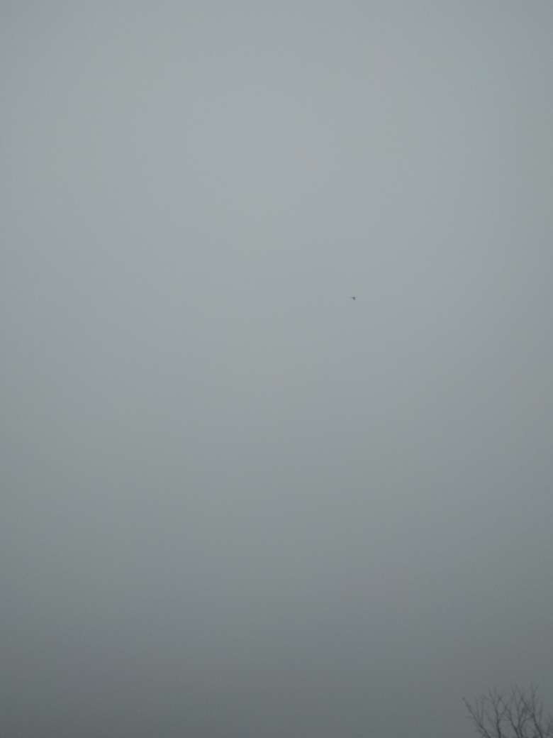 20250131172142front2_0_1812_Fm8YCPWNprNeoCYk_3USqd55j5br.jpg