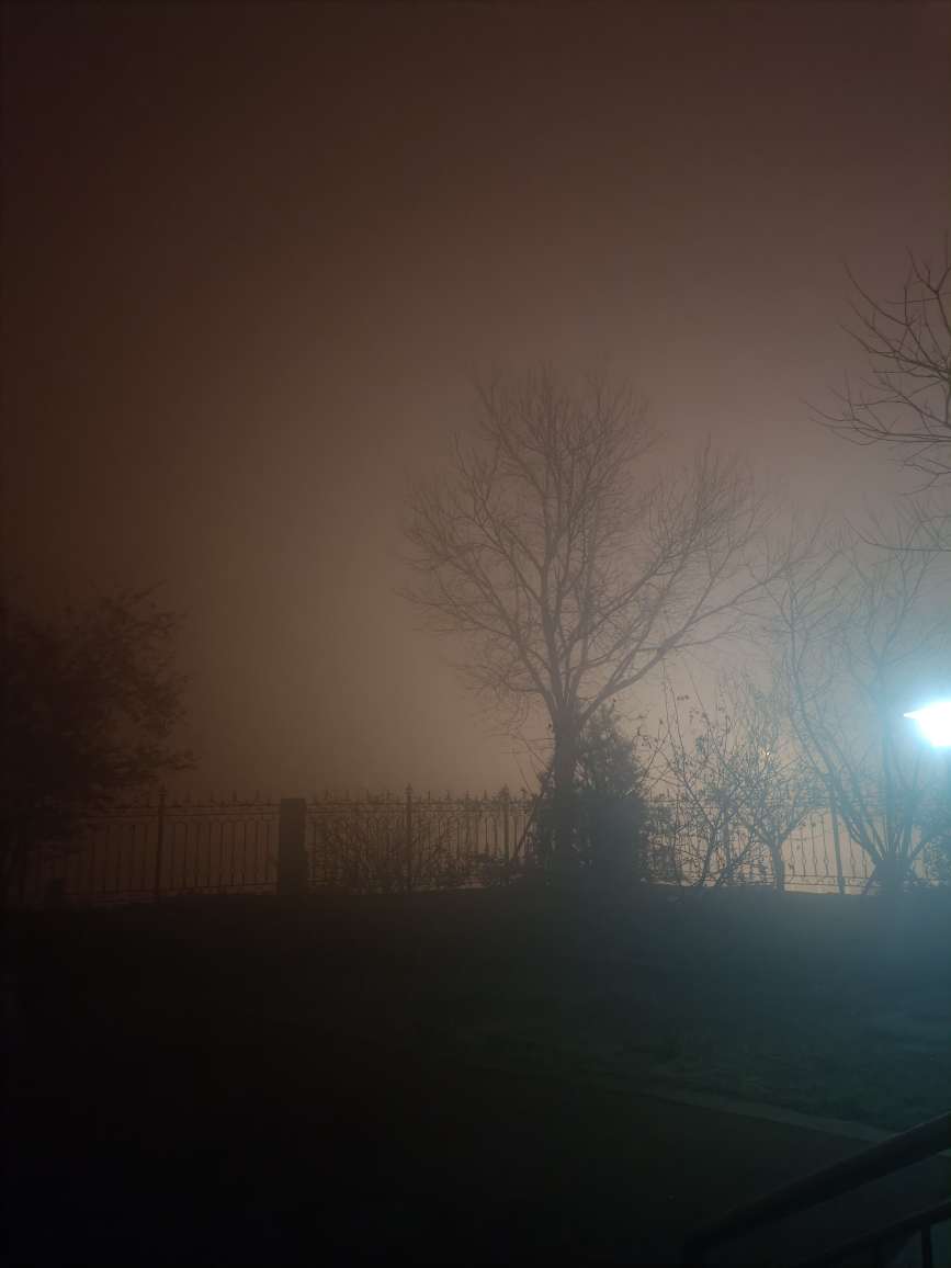 20250202235846front2_0_268250_FkM5zRUfYyzipf8RDQ2NDMXPYdCl.jpg