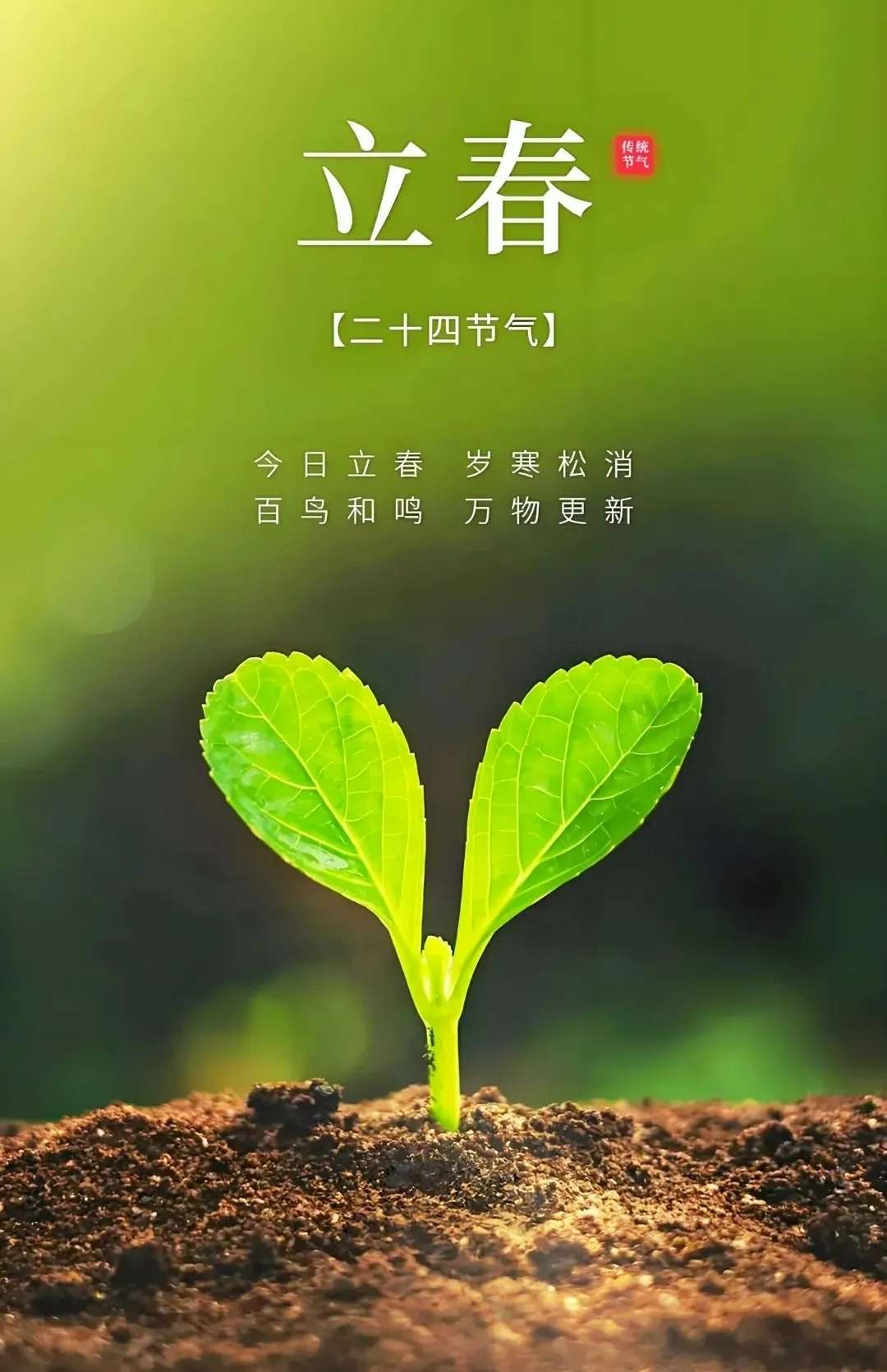 20250203101730front2_0_16352_Fs0UlN4WHmA7pkQR9t2TcUg-t1iz.jpg
